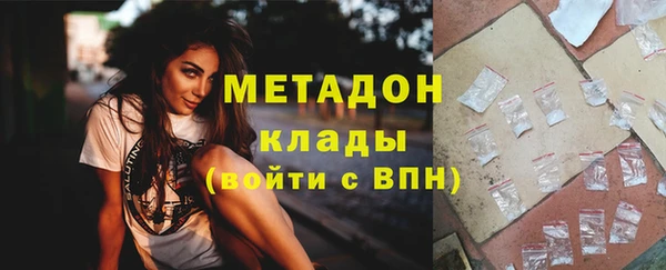 индика Вяземский