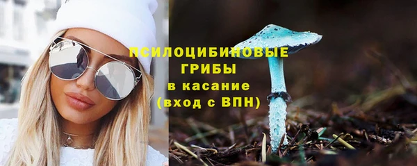 ешки Орехово-Зуево