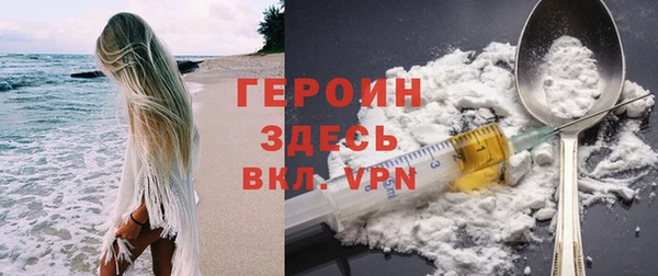 индика Вяземский