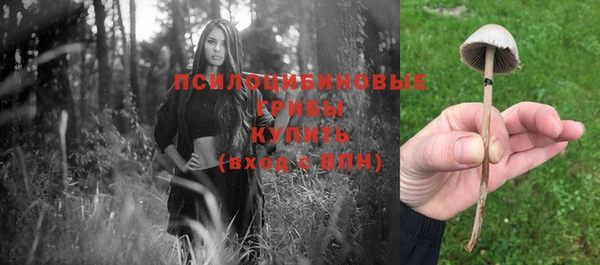 таблы Липки