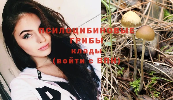 COCAINE Лабытнанги