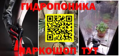 индика Берёзовский