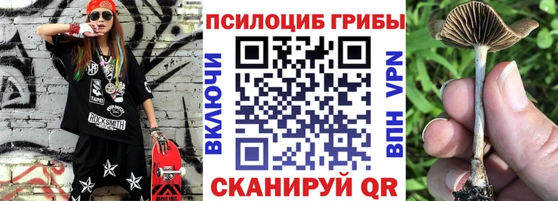 продажа наркотиков  Дзержинский  Псилоцибиновые грибы Magic Shrooms 