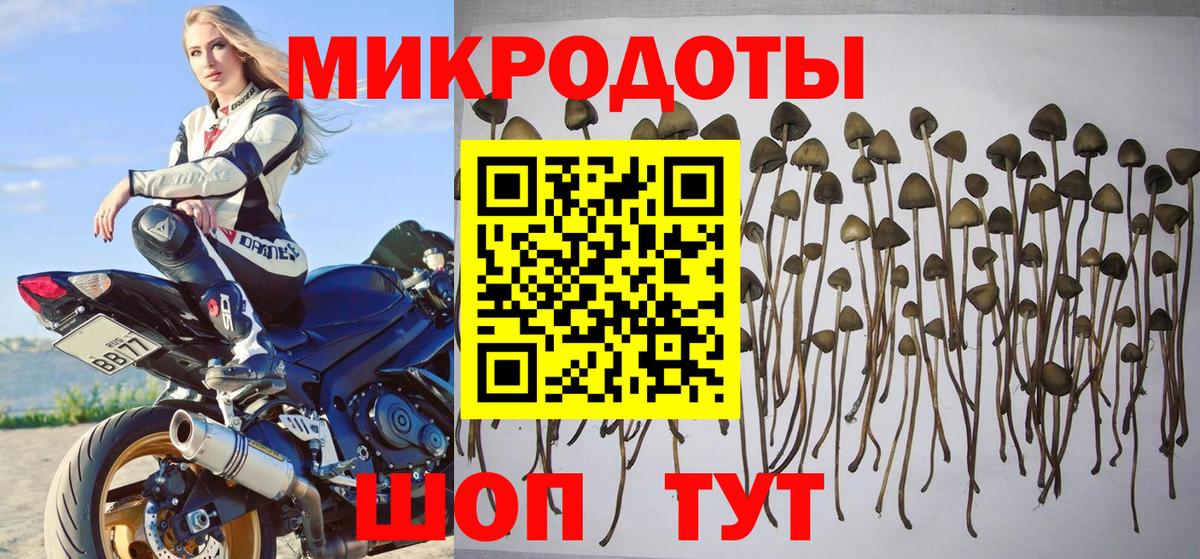 наркотики  Вход с VPN  Псилоцибиновые грибы Psilocybine cubensis  Дзержинский  Галлюциногенные грибы ЛСД 