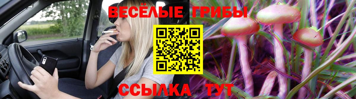 Псилоцибиновые грибы GOLDEN TEACHER Дзержинский