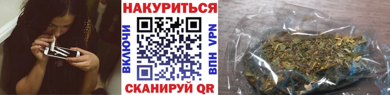 Бошки марихуана сатива  Дзержинский 