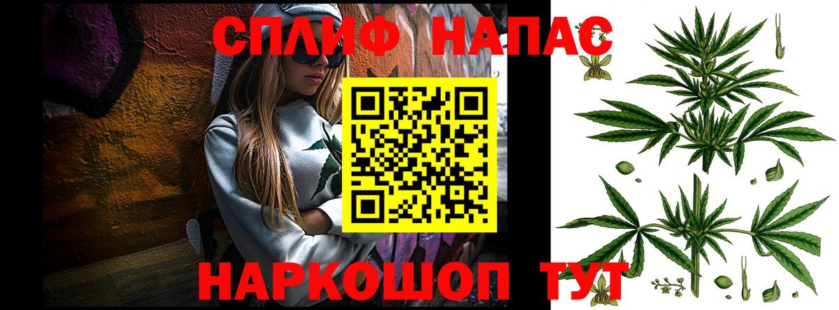 Каннабис план  Конопля MAZAR  Дзержинский  Конопля THC 21% 